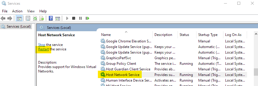 Host Network Service